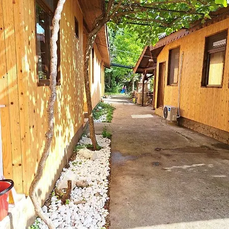 комплекс джулай морнинг * 키텐