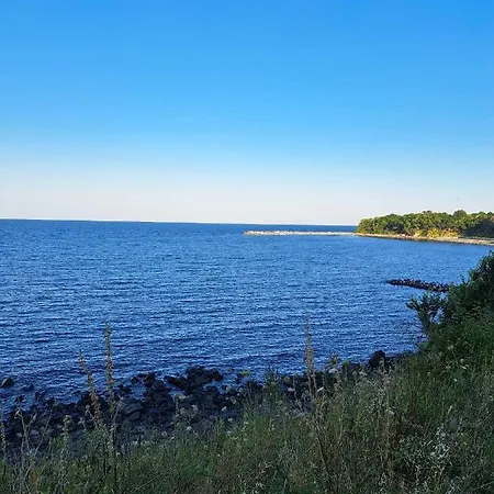 Camping комплекс джулай морнинг *