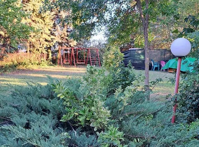 комплекс джулай морнинг